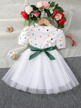 Baby Girl Kids Summer Sleeveless O-Neck Print Floral Bow Princess Dress