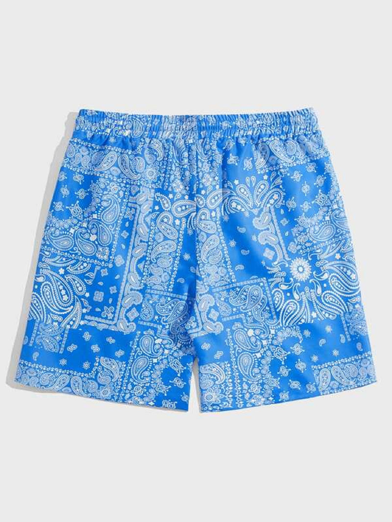 blue lycra blend shorts