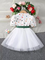 Baby Girl Kids Summer Sleeveless O-Neck Print Floral Bow Princess Dress